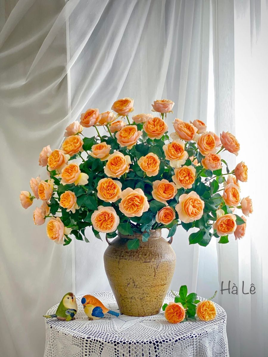 Tử vi ngày 1/7/2022 của 12 cung hoàng đạo